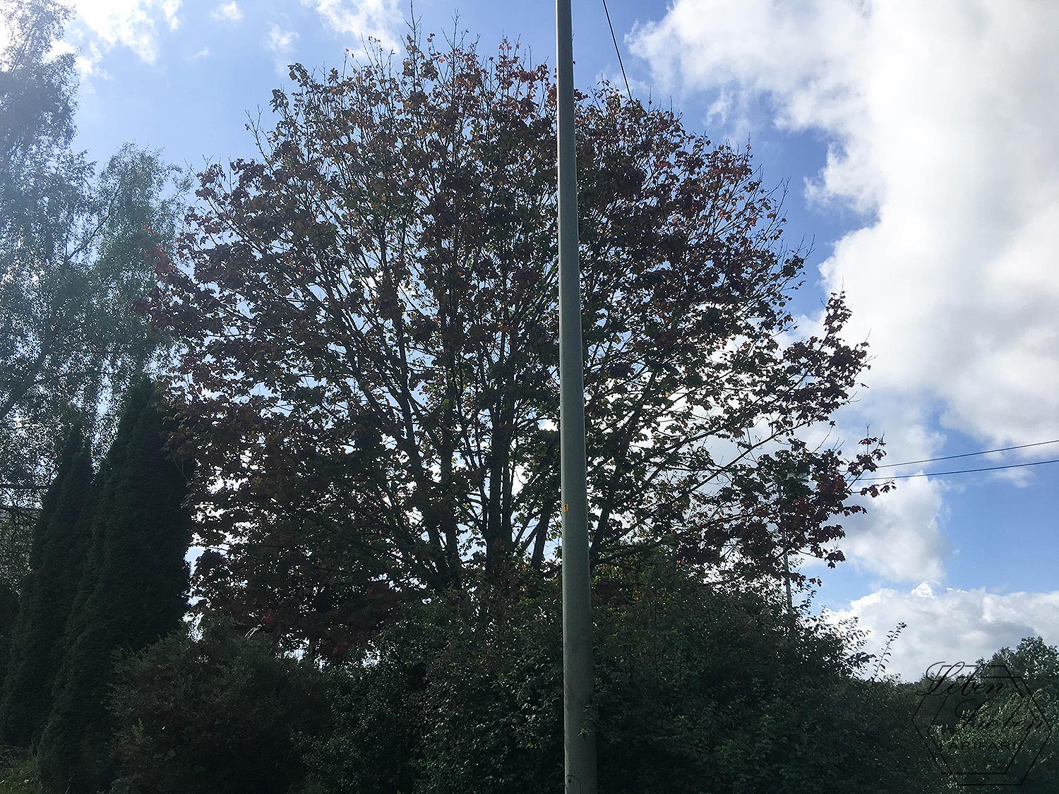#12von12 - der Herbst kommt