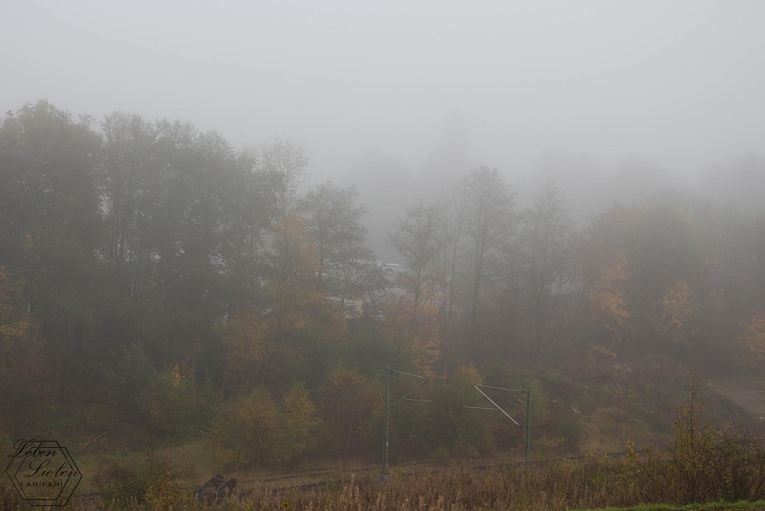 Nebliger Blick ins Dorf
