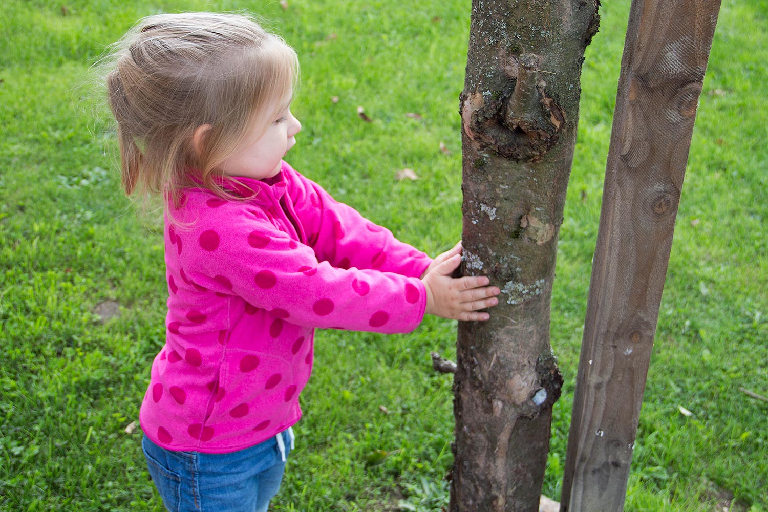 Lotte im Garten Lotte im Garten