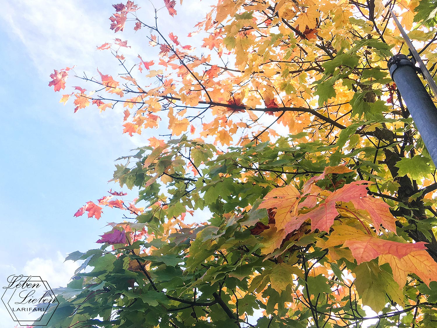 #WIB – bunter Herbst #WIB - bunter Herbst