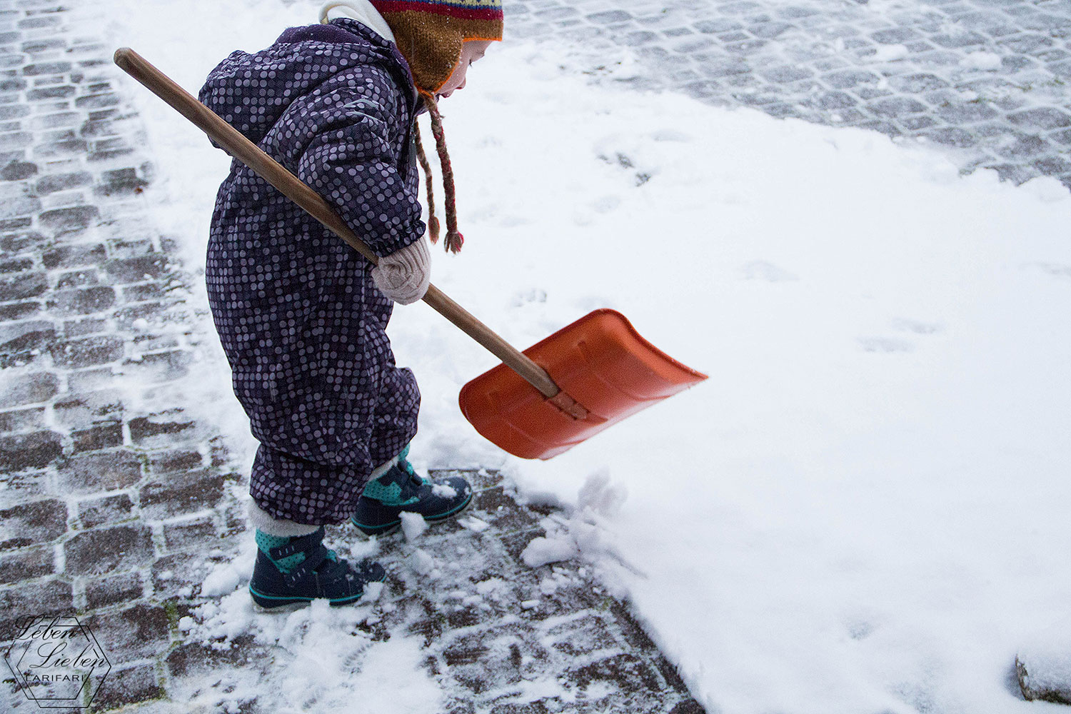 Lotte schiebt Schnee