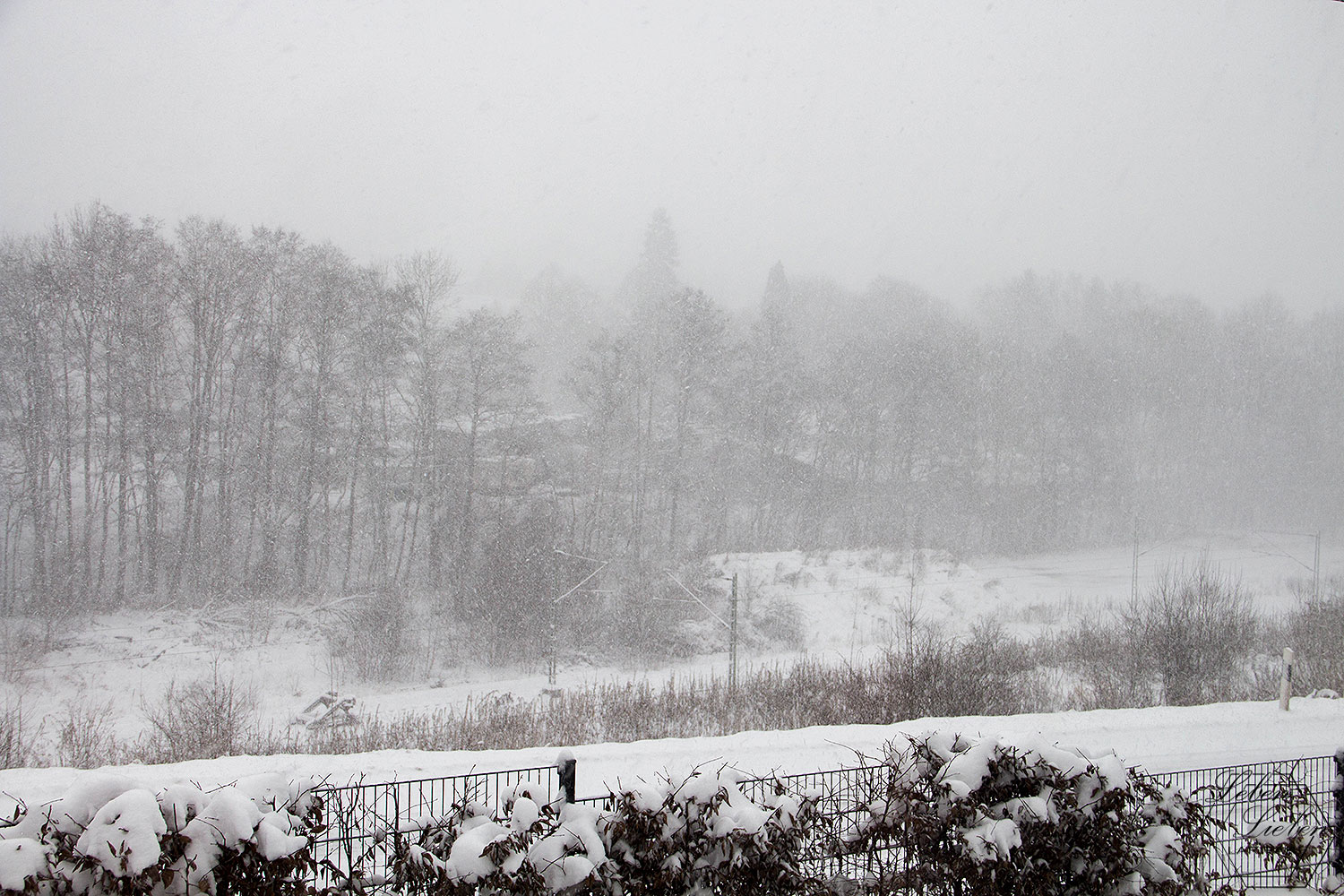 Wind und Schnee