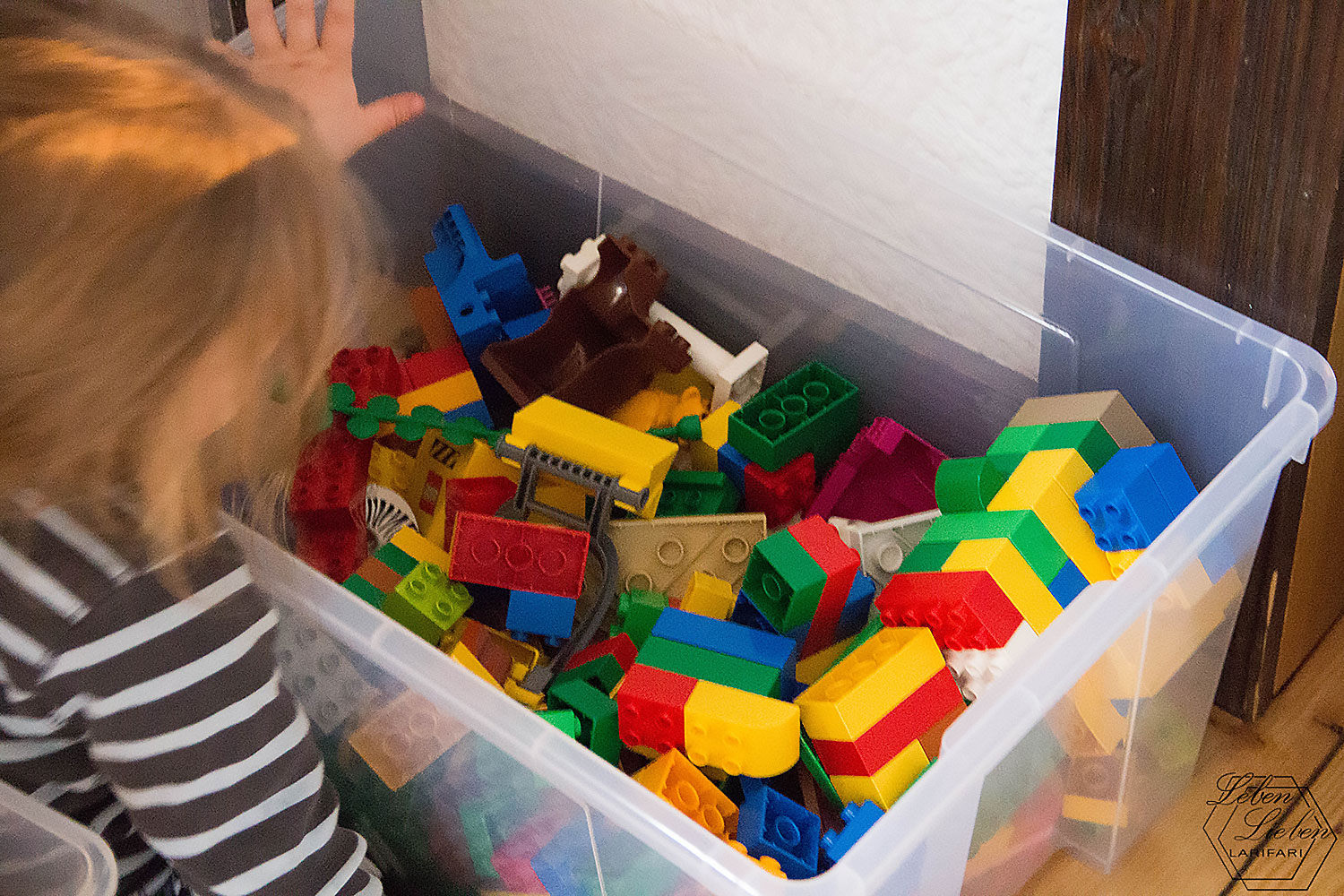 Lotte und das Duplo