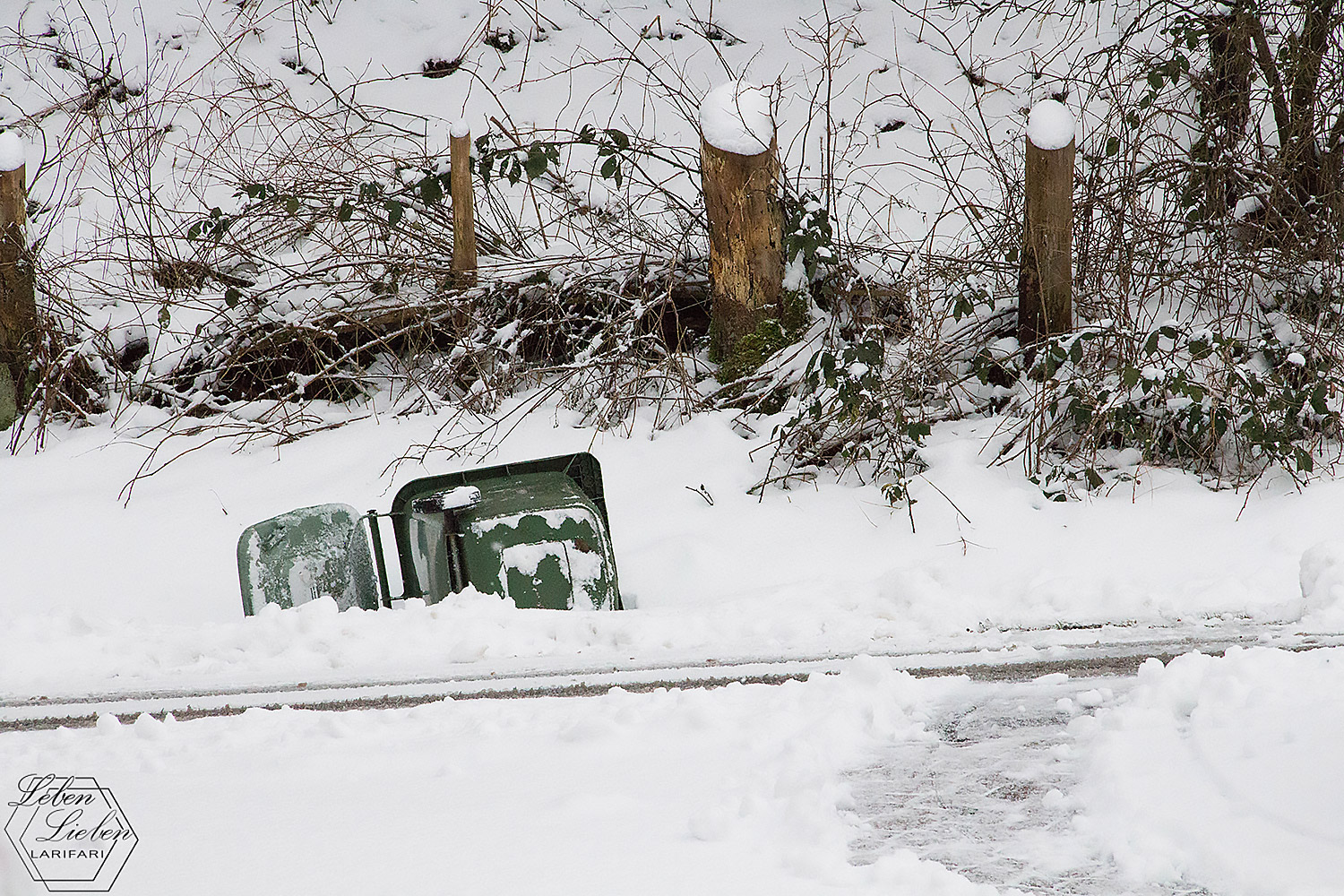 Mülltonne im Schnee