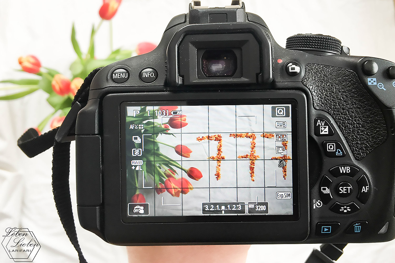 Foto für Instagram machen