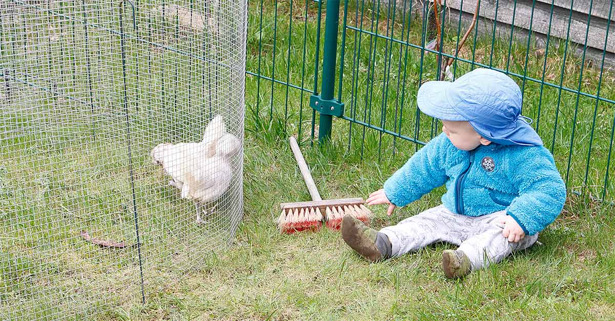 Alltag – zwischen Kinderkram, Hühnern & einem Auftrag | 12von12 im April