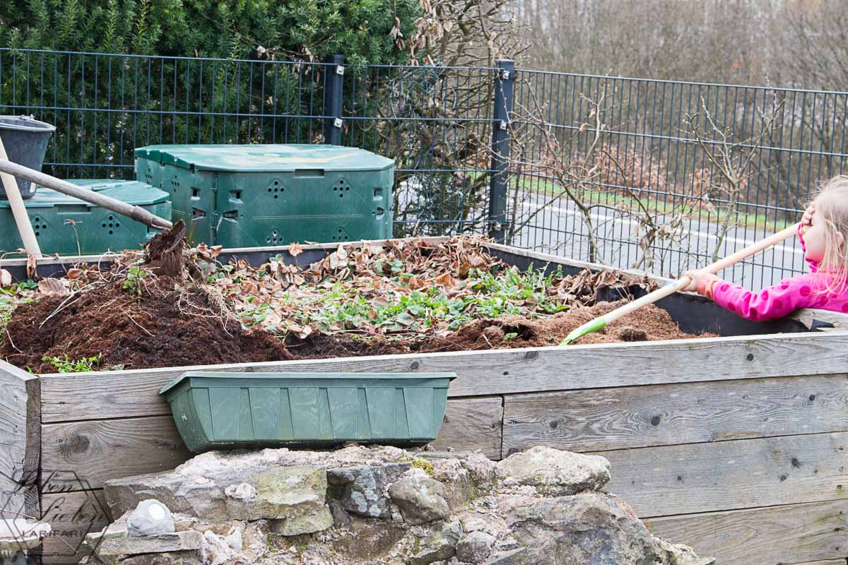 das Hochbeet wird von den Erdbeerpflanzen befreit das Hochbeet wird von den Erdbeerpflanzen befreit