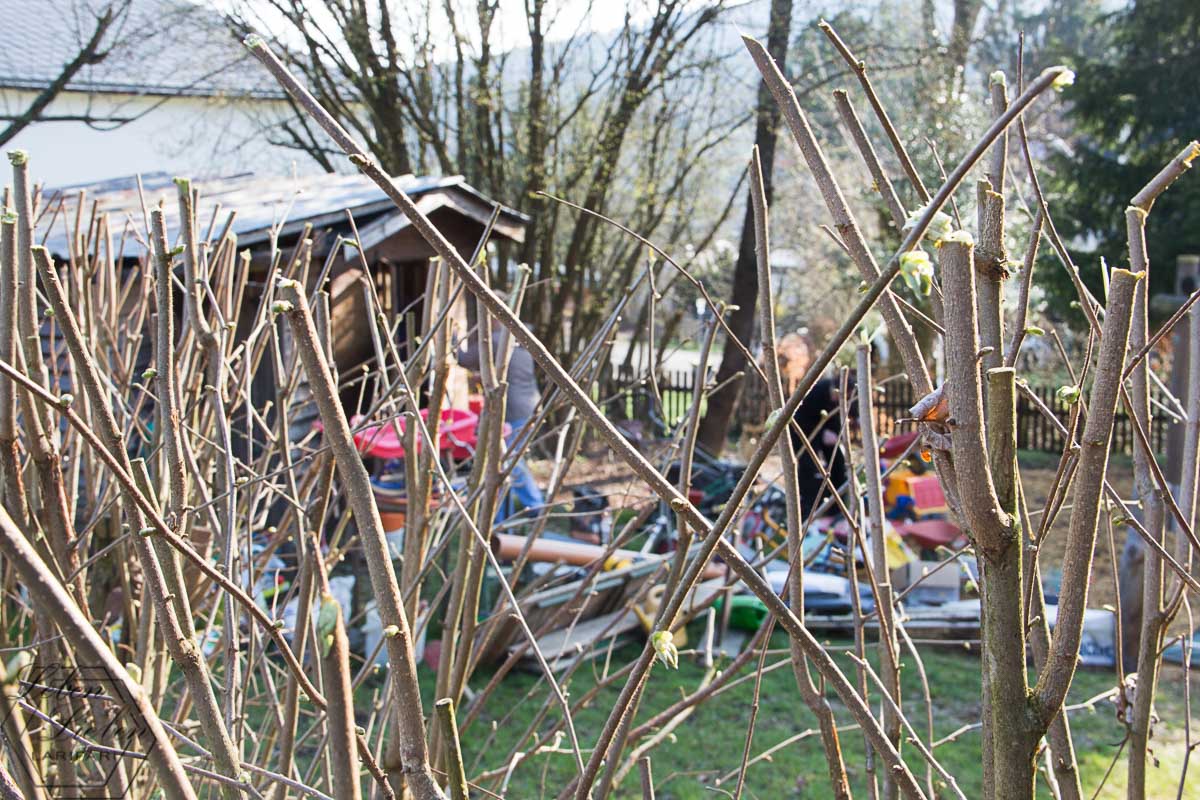Elternarbeit im Kinderhaus – gemeinsam schaffen wir das Elternarbeit im Kinderhaus - gemeinsam schaffen wir das