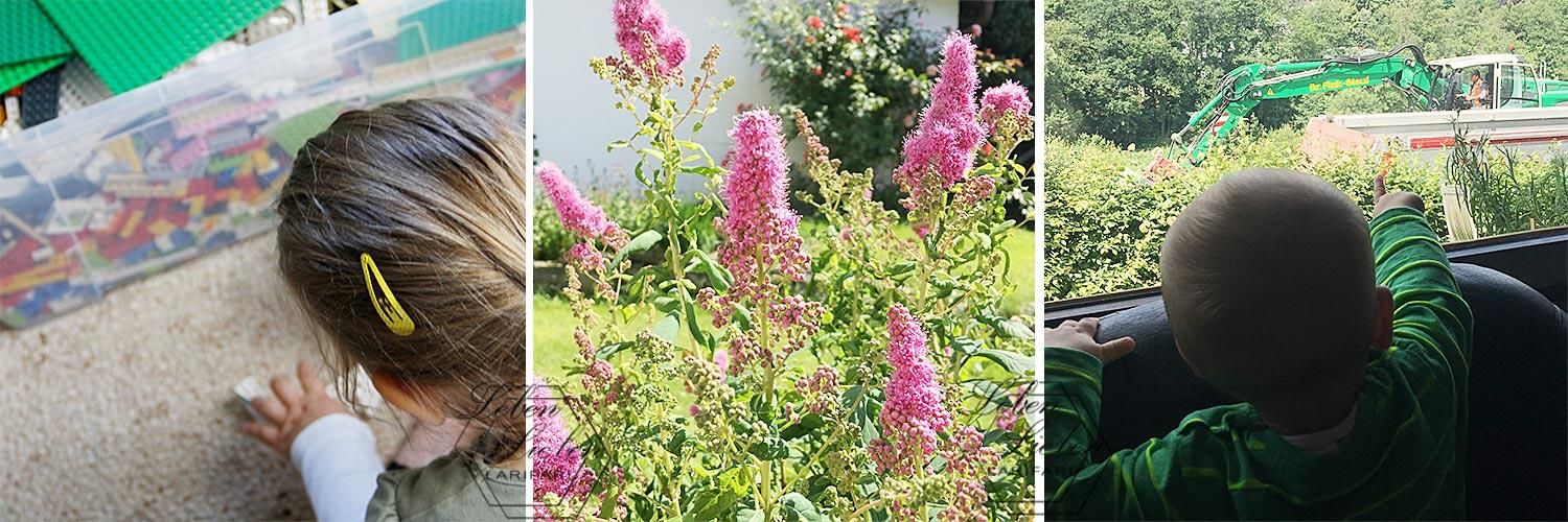 Julipläne: Klausuren, Steuer und Sommerferien Julipläne: Klausuren, Steuer und Sommerferien