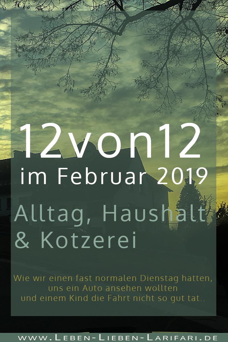 Alltag, Haushalt & Kotzerei | 12von12 im Februar