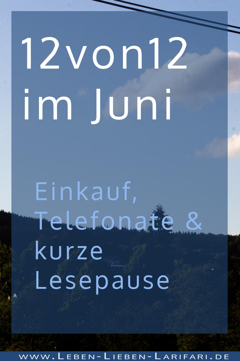 Einkauf, Telefonate & eine kurze Lesepause | 12von12 im Juni