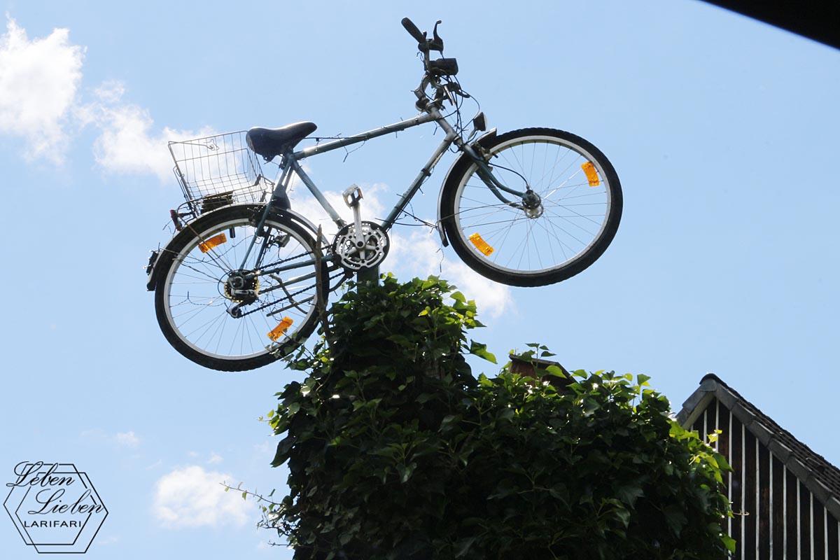 Ein Fahrrad ist auf einem Mast im Baum angebracht