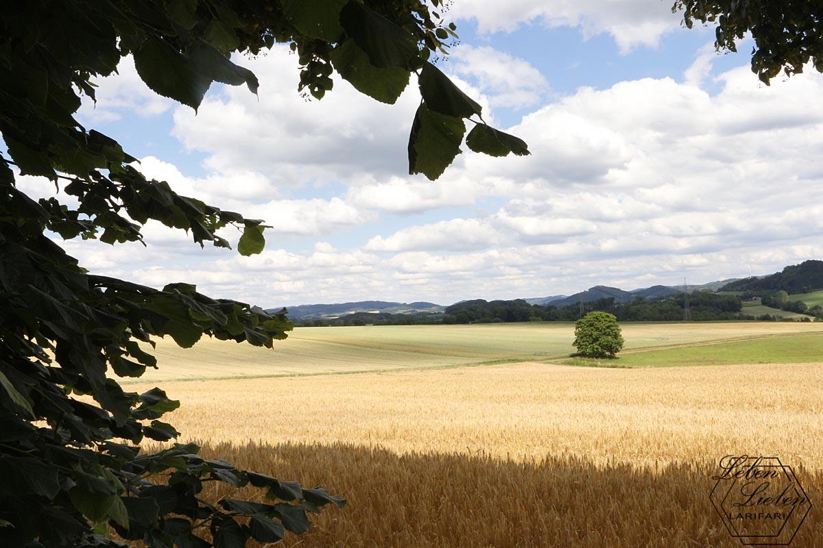 Der Blick über Felder