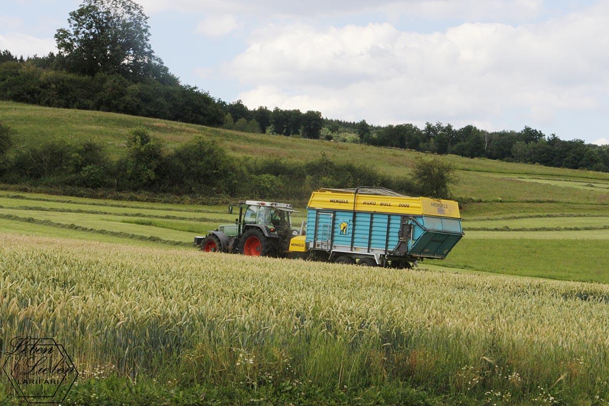 Ein Bauer mit Gerät auf dem Feld